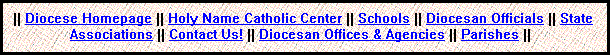 [Diocesan Website Navigation Bar]